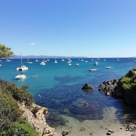 : Magnifique Le Bois D Olivier